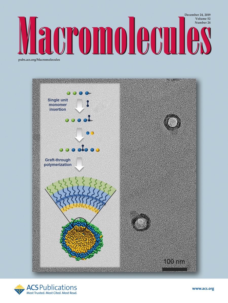Macromolecules 2019 cover — Janus core–shell bottlebrush monolayer vesicles