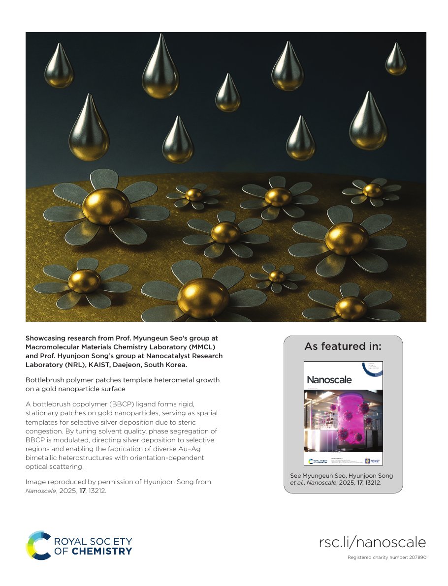 Nanoscale 2025 back cover — bottlebrush polymer patches on gold nanoparticles